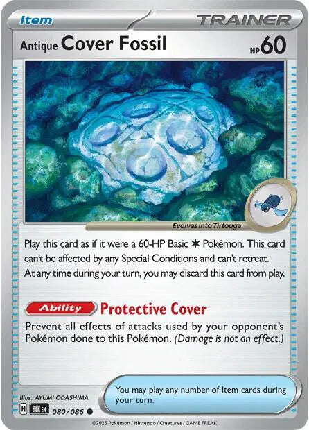 Antique Cover Fossil - Normal