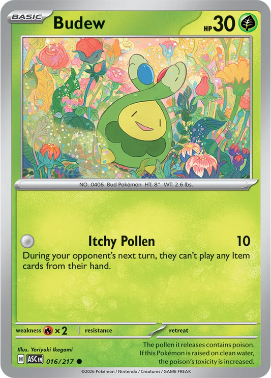 Budew - Normal - 016/217