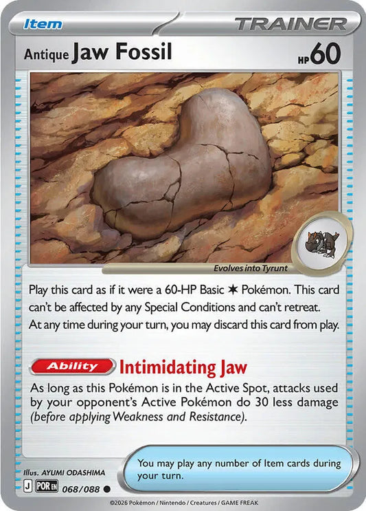Antique Jaw Fossil - Normal